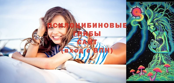 метадон Медвежьегорск