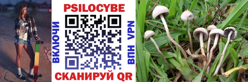 купить наркотик  Торопец  Псилоцибиновые грибы прущие грибы 